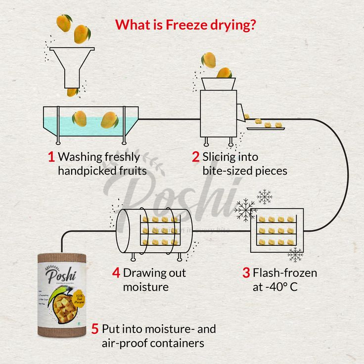 Freeze Dry Diagram